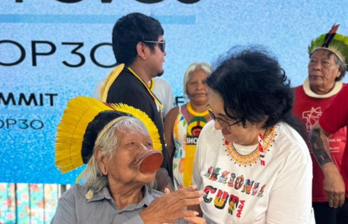 Captura de tela 2025-11-17 112252