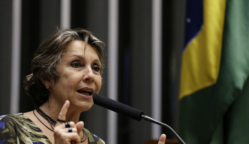 Resultado de imagem para erika kokay